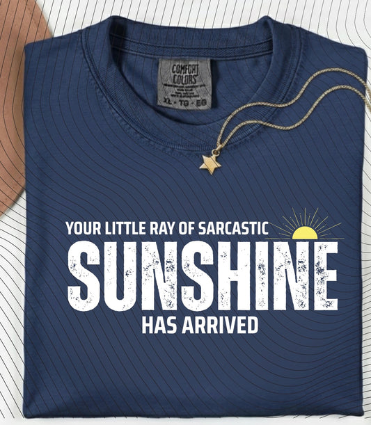 Little Ray of Sarcastic Sunshine Long Sleeve Tee